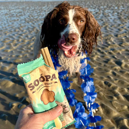 Chew sticks | Paw-Na Colada - Coconut & Pineapple (4-pack)