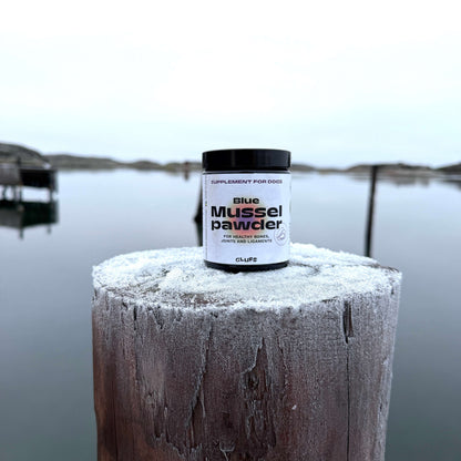 Mussel powder