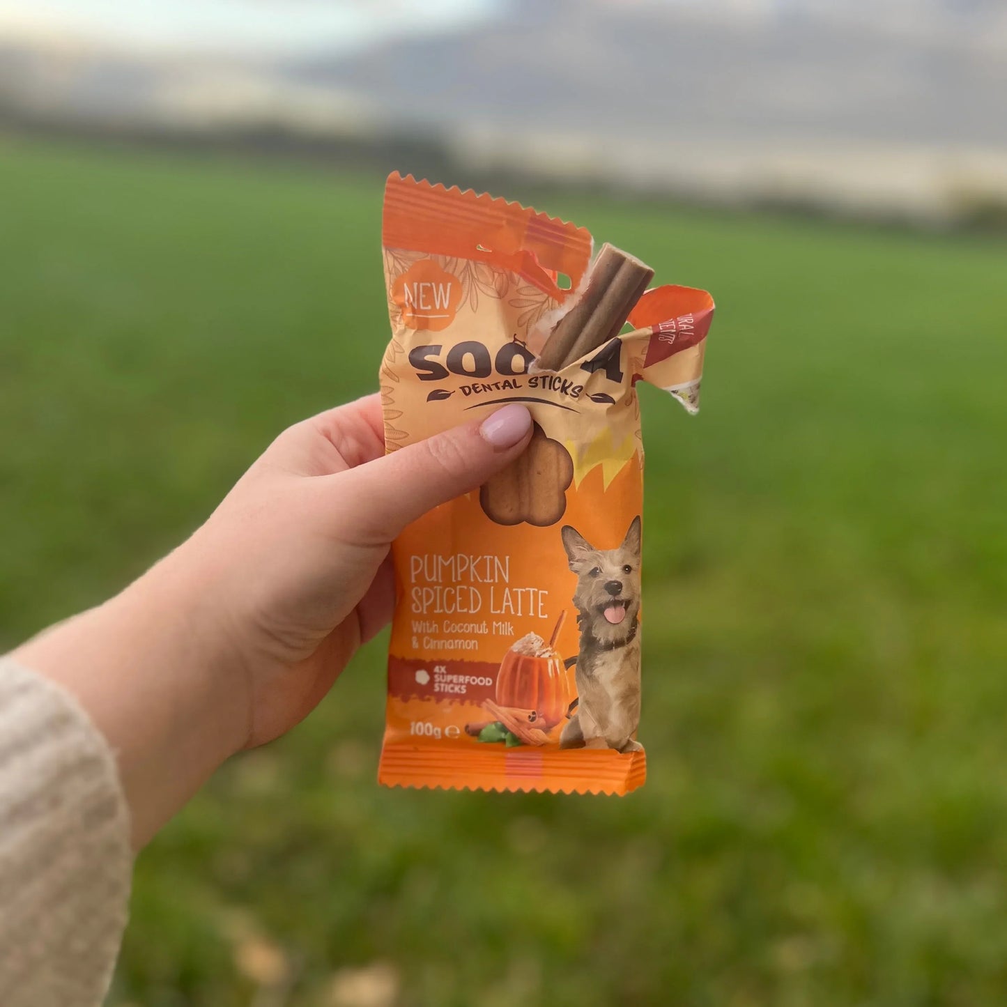 Chew Sticks | Pumpkin Spiced Latte - Pumpkin & Cinnamon (4-pack)
