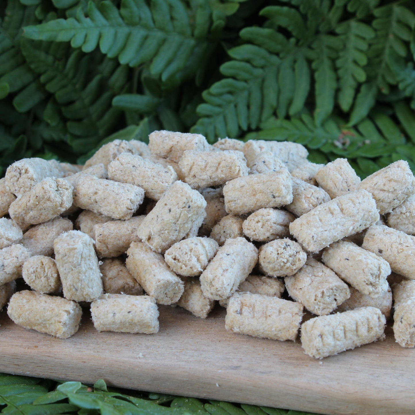 RAUH! Salmon treats (100g)
