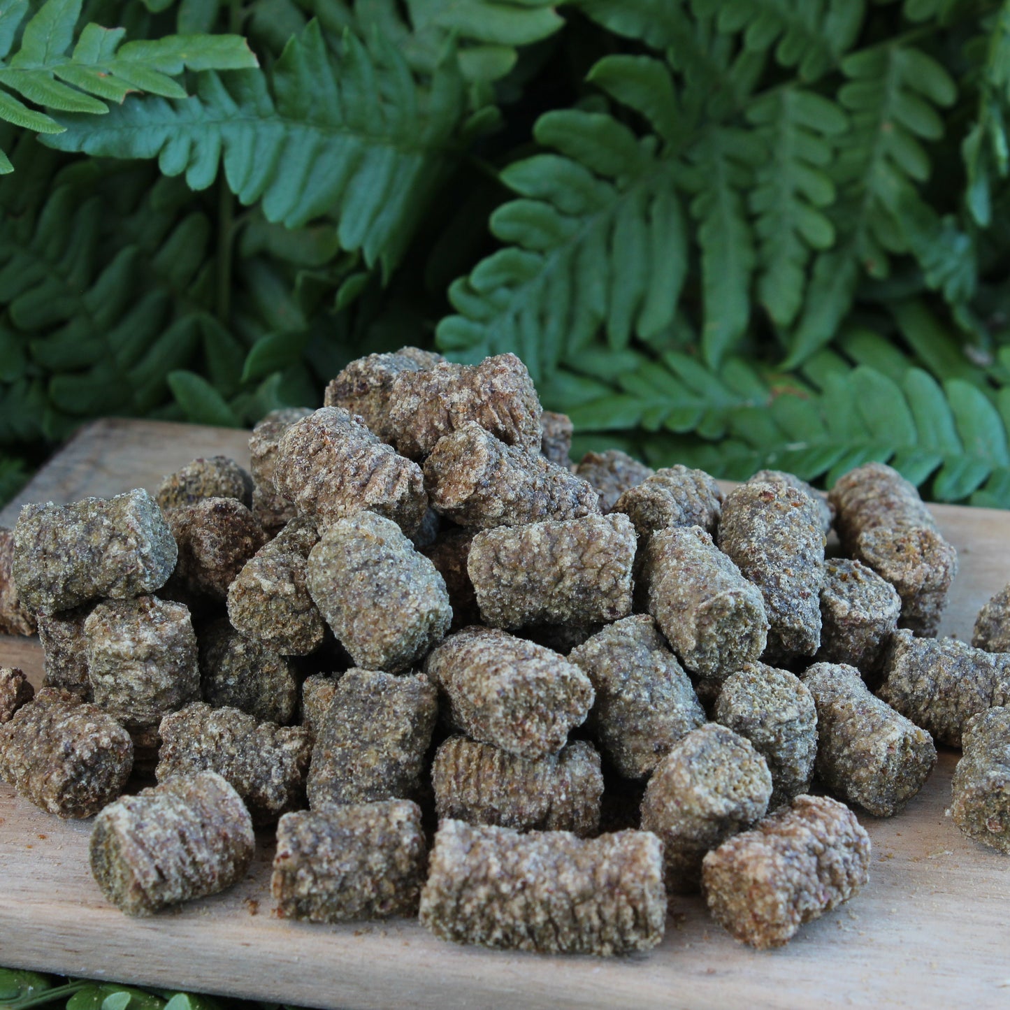 RAUH! Liver treats (100g)