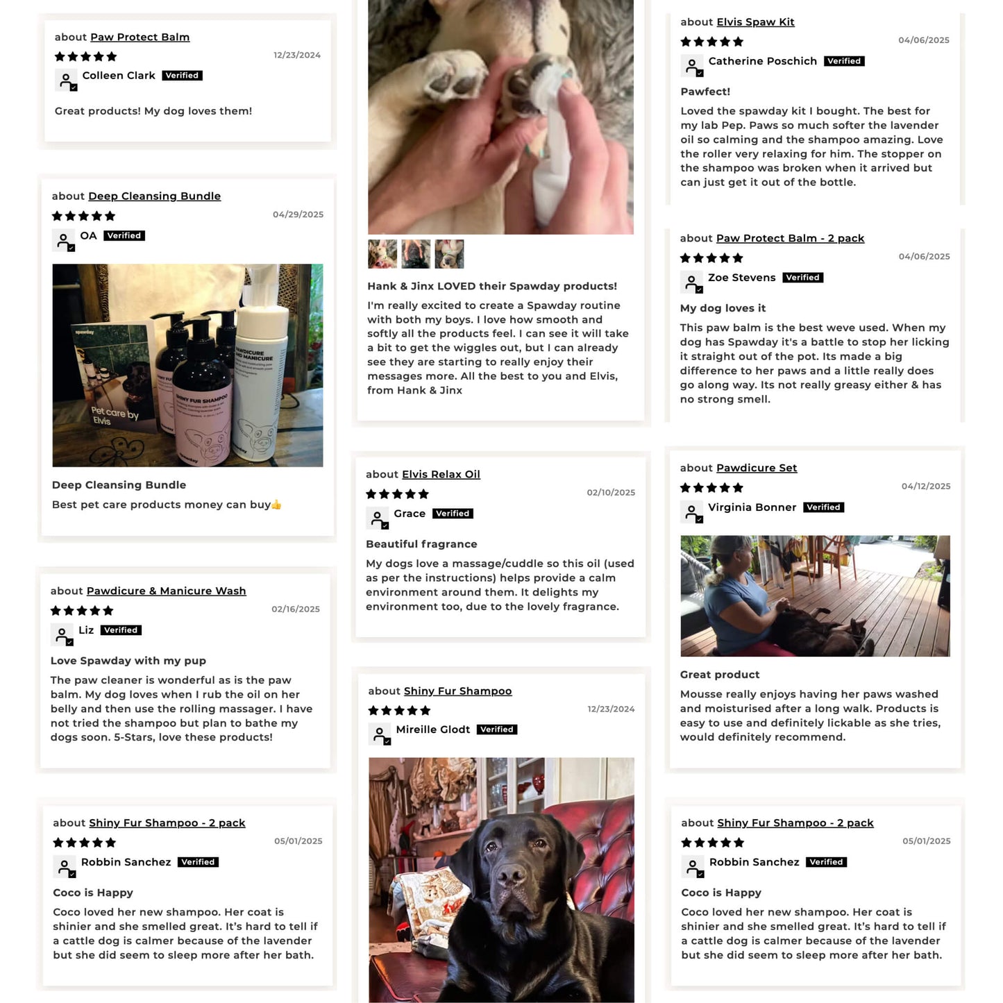 Elvis Spaw Kit - The Complete Dog Care Ritual