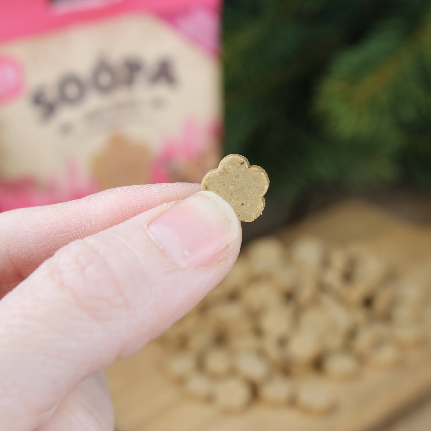 Dog Treats MINI | Banana and Pumpkin (50g, 100 pieces)