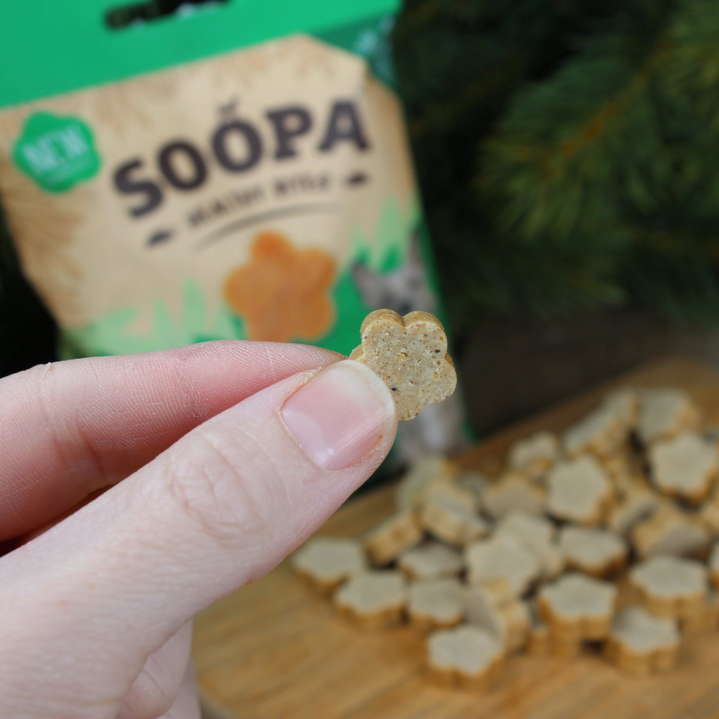 Dog treats | Watermelon & Apple (50g, 50 pcs)