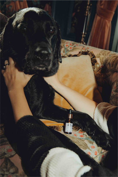 Total Relaxation Kit - For Stressed Dogs