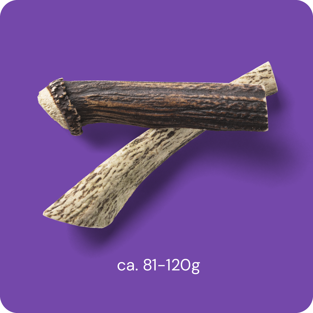 RAUH! - Split deer antler
