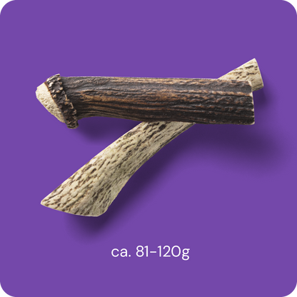 RAUH! - Split deer antler