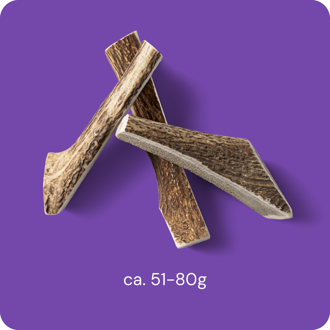 RAUH! - Split deer antler