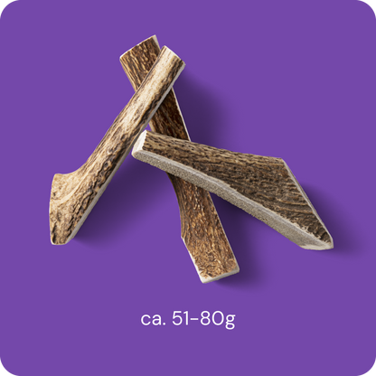 RAUH! - Split deer antler