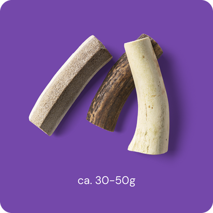 RAUH! - Split deer antler