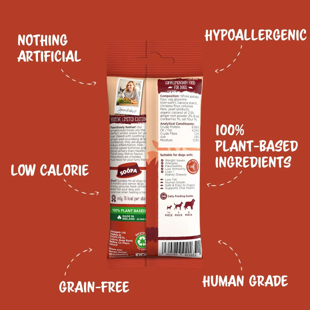 Chew Sticks | Gingerbread Biscuit - Ginger & Cranberry (4-pack)