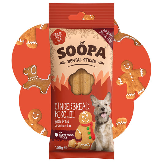 Chew Sticks | Gingerbread Biscuit - Ginger & Cranberry (4-pack)