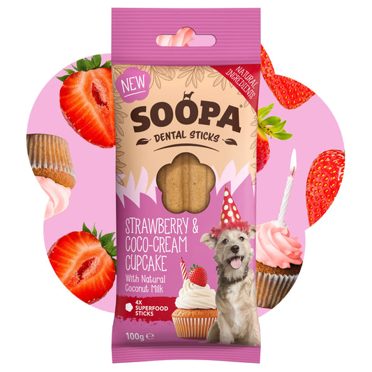 Chew Sticks | Strawberry & Coconut Cream (4-pack)