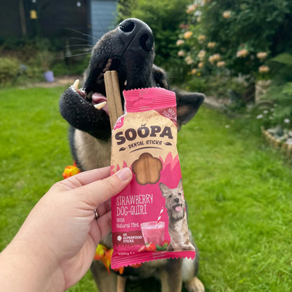 Chew Sticks | Strawberry Dog-Quiri - Strawberry & Coconut (4-pack)