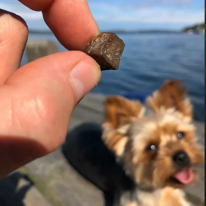 Swedish beef lung in mini-pieces (80g)