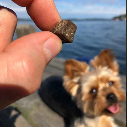 Swedish beef lung in mini-pieces (80g)