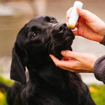Swedish nose balm for dry and chapped noses (17ml)