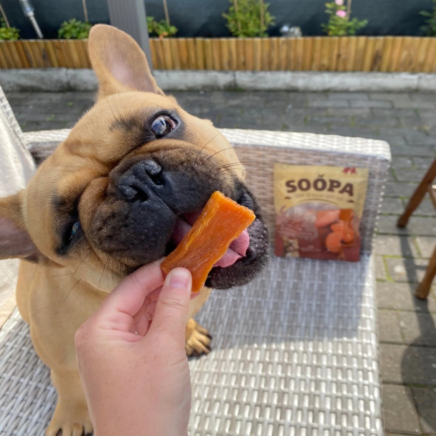 Dried sweet potato chew (100g)