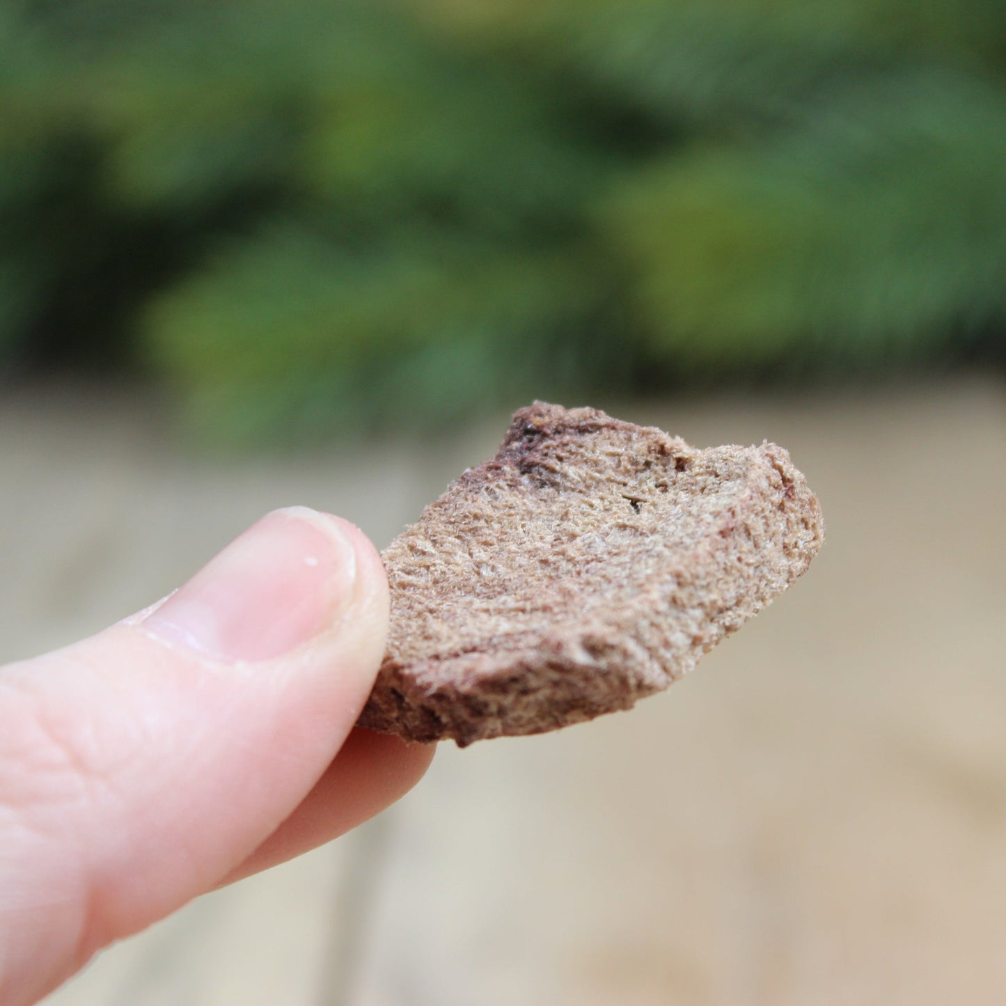 Freeze-dried venison treats (80g)