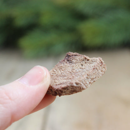 Freeze-dried venison treats (80g)