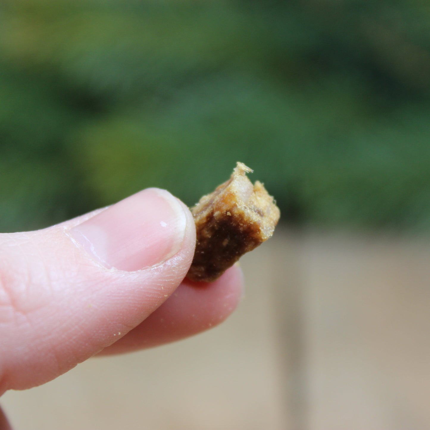 Wild boar treats in small pieces (80g)