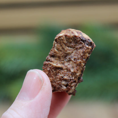Beef lung in cubes 2x2cm (100g or 1kg)