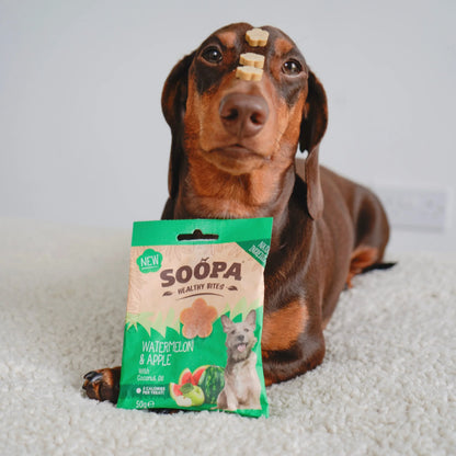 Dog treats | Watermelon & Apple (50g, 50 pcs)