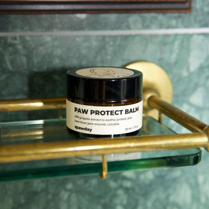 Elvis Spaw Kit - The Complete Dog Care Ritual