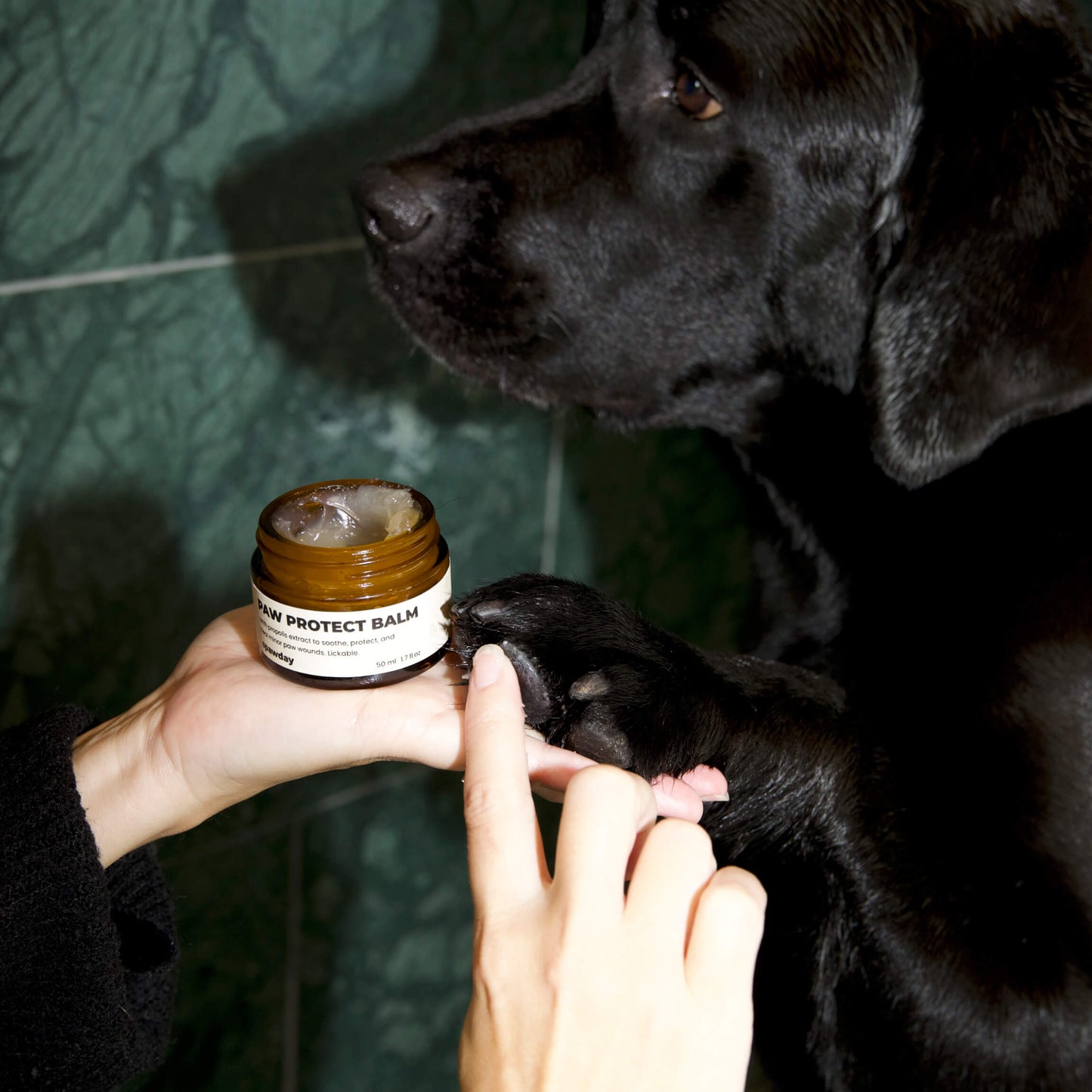 Paw Protect Balm 2-pack - For Dry Paws and Noses