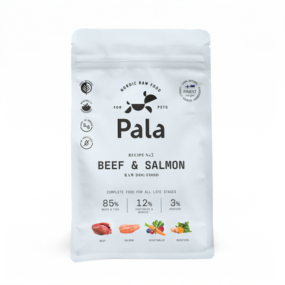 Air Dried Beef & Salmon Recipe #3