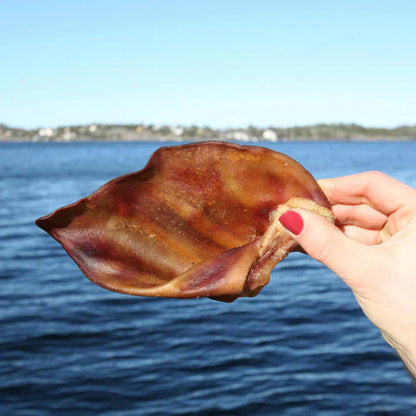 Swedish pig ear