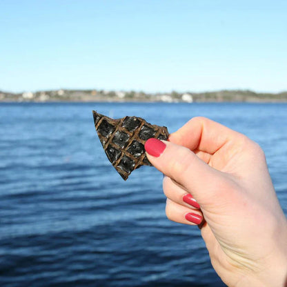 Swedish beef liver (100g)