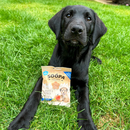 Dog treats PUPPY | Banana and Pumpkin (50g, 50 pieces)