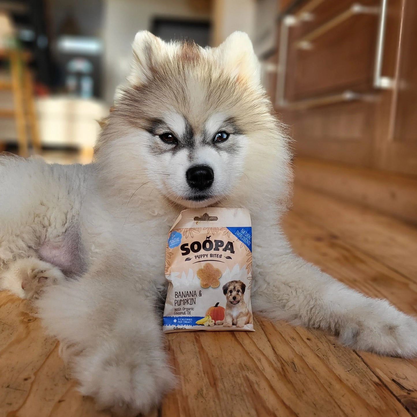 Dog treats PUPPY | Banana and Pumpkin (50g, 50 pieces)