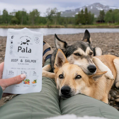 Air Dried Beef & Salmon Recipe #3