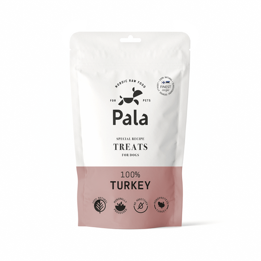 Dog treats made of 100% turkey meat (100g)