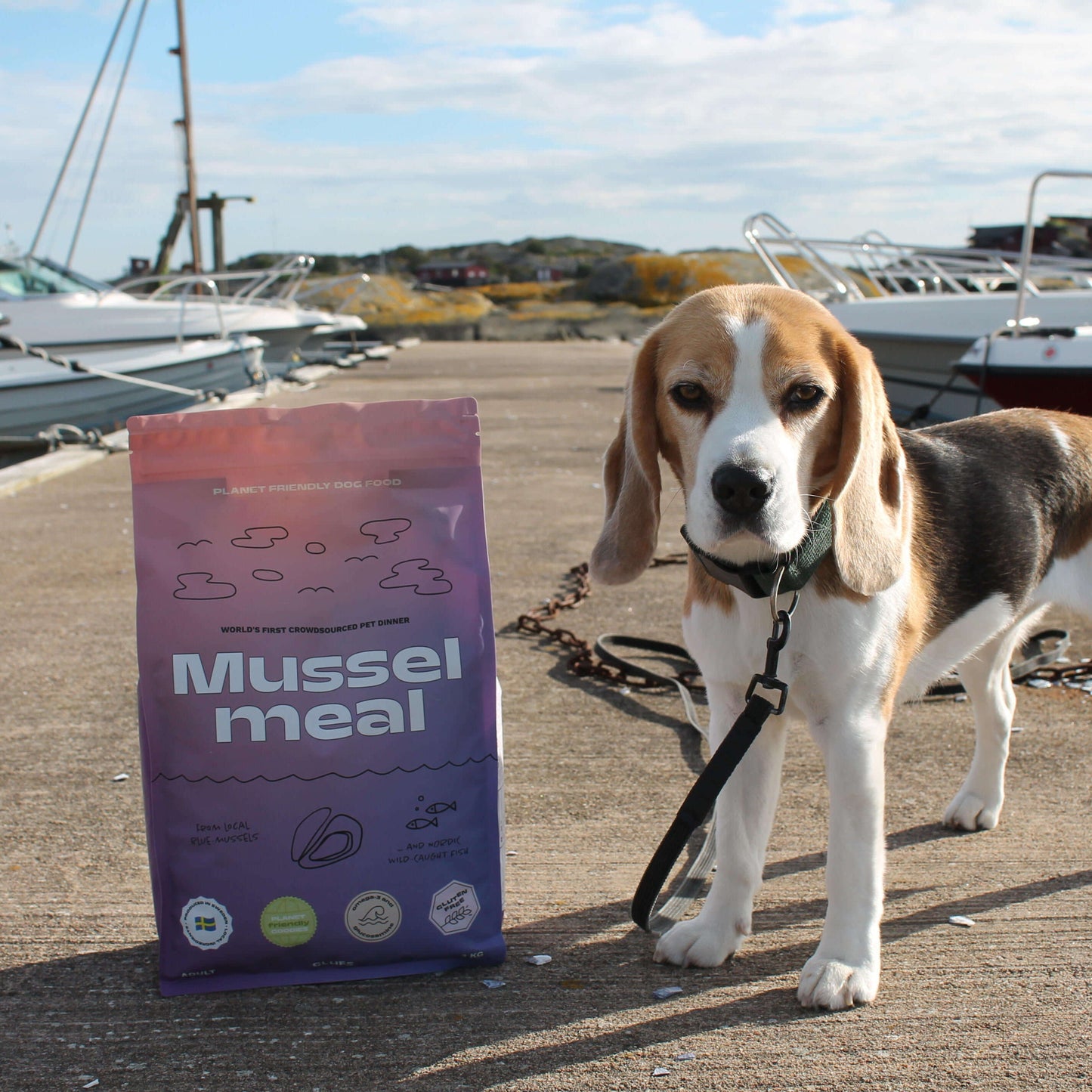 Mussel meal